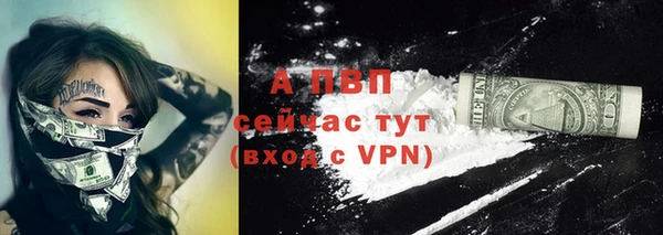 молекула духа Зеленокумск