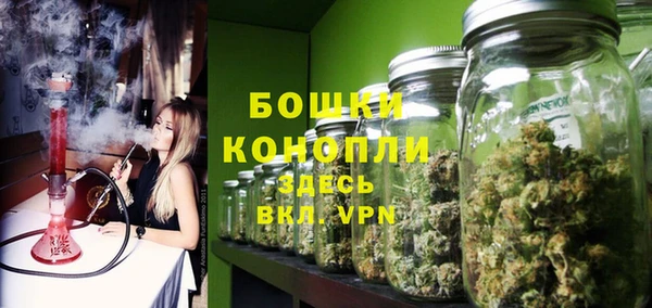 молекула духа Зеленокумск