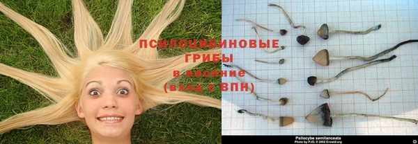 молекула духа Зеленокумск